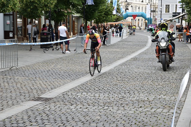 以引导和塑 以引导和塑