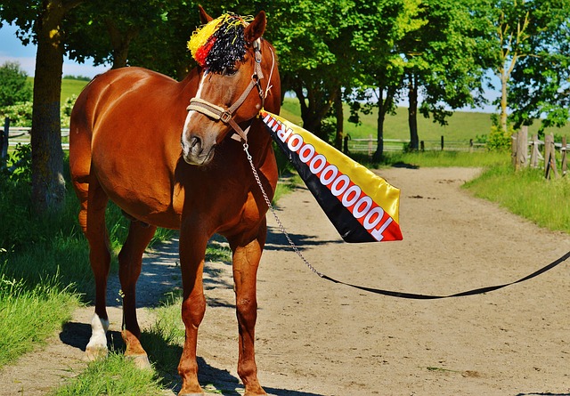 此次對陣凱 此次對陣凱