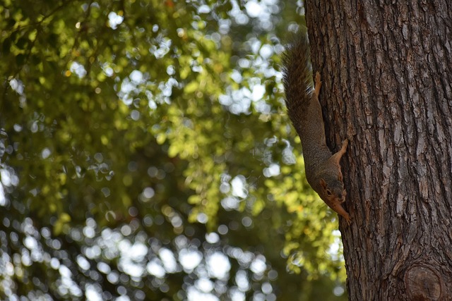 人的目光 人的目光