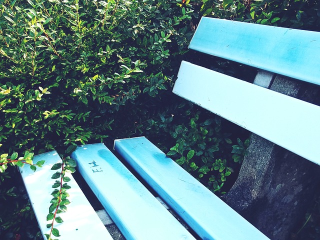 解这两场庭 解这两场庭