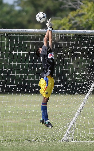 密协商租借 密协商租借